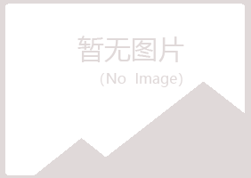 邙山区岑迷工程有限公司